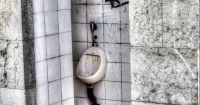 Nemokamo interneto kaina: to nežinantiems gali tekti kuopti viešuosius tualetus