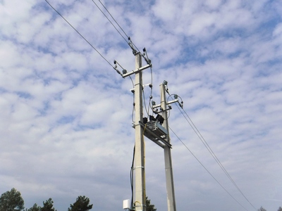 Didindama elektros tinklo patikimumą, ESO investuoja į automatizavimą Didindama elektros tinklo patikimumą, ESO investuoja į automatizavimą
