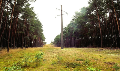 Kuršių nerijos kraštovaizdyje nebeliks elektros oro linijų