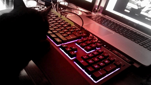 Mygtukų ir švieselių karalystė: membraninė „Corsair K55 RGB“ klaviatūra