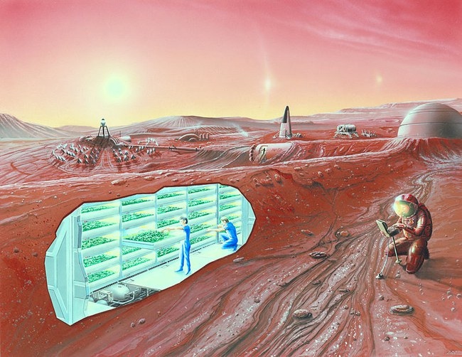 8 mėnesius trukusi Marso kolonijos simuliacija atskleidė netikėtą problemą - kaip su ja tvarkysis NASA?