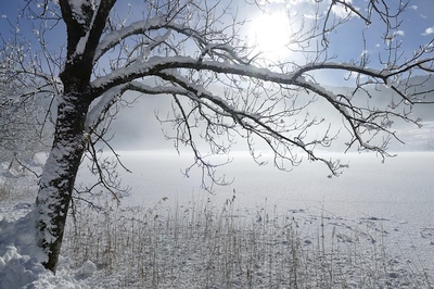 Kaip apsaugoti išmanųjį, kai už lango -25 °C