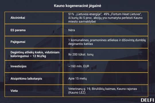 Neišsprendžiama lygtis: kam Lietuvai reikia dar dviejų kogeneracinių elektrinių