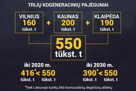 Neišsprendžiama lygtis: kam Lietuvai reikia dar dviejų kogeneracinių elektrinių