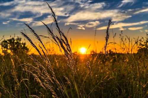 Ar tikrai saulės Lietuvoje per mažai? Mitai ir tiesa apie saulės jėgaines