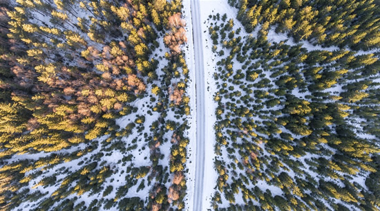 Lietuvos kelių būklę žiemą prognozuoja mokslinė sistema