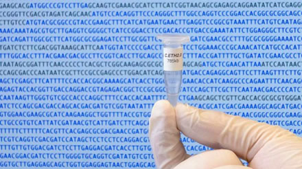 Caulobacter ethensis-2.0 genomas mėgintuvėlyje © ETH Zurich / Jonathan Venetz