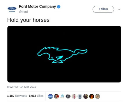 „Ford“ siūlo „prilaikyti arklius“ © twitter.com „Ford“ siūlo „prilaikyti arklius“ © twitter.com