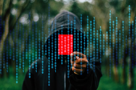 Pavogti daugumos bulgarų asmens duomenys, programišius gėdija valdžią Pavogti daugumos bulgarų asmens duomenys, programišius gėdija valdžią