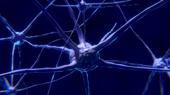 Neuromokslininkė Neniškytė: matau technologijas, bet neuro prasme Muskas proveržio nepadarė Neuromokslininkė Neniškytė: matau technologijas, bet neuro prasme Muskas proveržio nepadarė