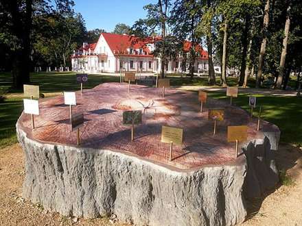 Stelmužės ąžuolo kamieno skulptūra / Pranešimo autorių nuotr. Stelmužės ąžuolo kamieno skulptūra / Pranešimo autorių nuotr.