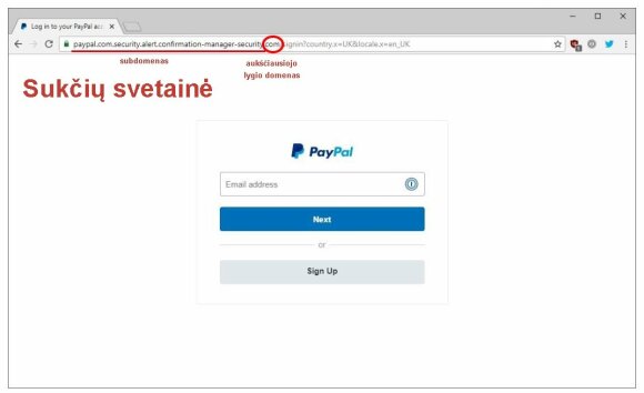 Netikra „Paypal“ mėginanti mėgdžioti svetainė. Ekrano nuotr.