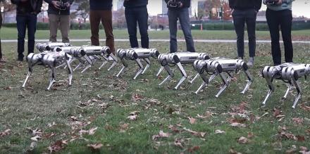 Unikali gepardų futbolo komanda: prestižiniame universitete sukurti robotai žaidžia futbolą
