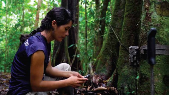 Išmanioji aplinkosauga: kaip seni telefonai ir dirbtinis intelektas gali išgelbėti miškus?