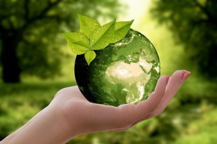 Lietuvos darželiai ir mokyklos spręs klimato kaitos problemas Lietuvos darželiai ir mokyklos spręs klimato kaitos problemas