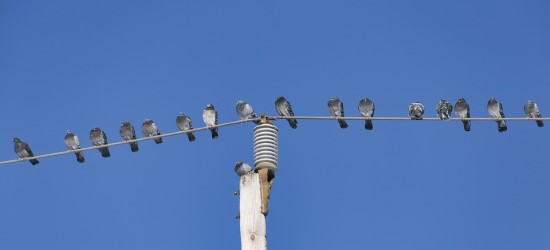 Reguliuojamų elektros kainų era artėja į pabaigą. Kas laukia toliau?