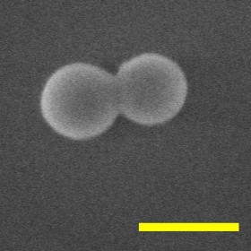 Svarmens formos silicio dioksido nanodalelė patalpinta vakuume © Pardue universitetas