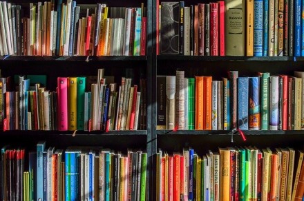 Ne tik vyturiams, bet ir pelėdžiukams: skaitmeninė biblioteka bus pasiekiama nemokamai Ne tik vyturiams, bet ir pelėdžiukams: skaitmeninė biblioteka bus pasiekiama nemokamai