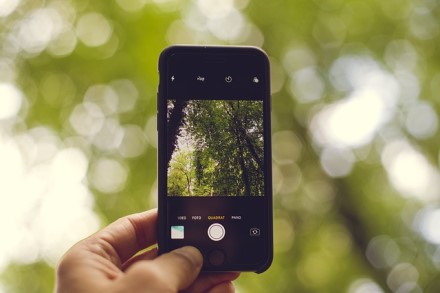 Laiką leidžiame lauke: 6 patarimai, kaip fotografuoti gamtą