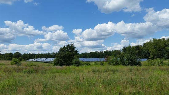 Du nauji saulės elektrinių parkai ir vieną jų statys Ignalinos atominė elektrinė