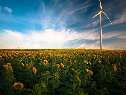 Energetikos sektoriuje – klimato kaitos skeptikams geliančios naujienos Energetikos sektoriuje – klimato kaitos skeptikams geliančios naujienos