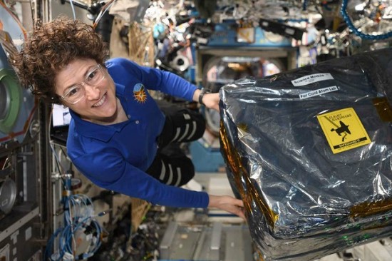 Astronautė Christina Koch TKS instaliuoja Šaltų atomų laboratoriją © NASA/JSC