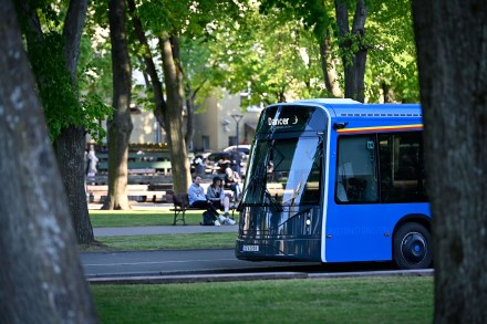 Elektriniai autobusai „Dancer" pasirodys Nidoje
