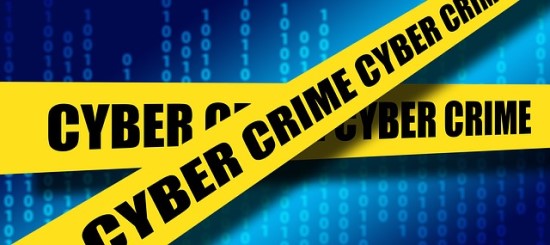 Augant elektroninių nusikaltimų grėsmei reikia skirti daugiau dėmesio kovai su jais