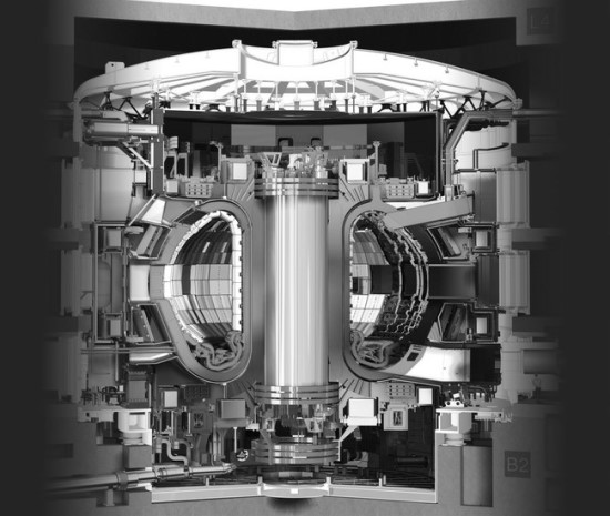 ITER tokamako schematinis vaizdas © ITER