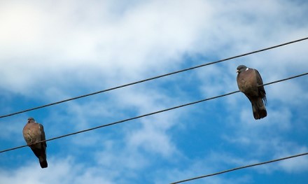 Kokiais atvejais elektros energijos tiekimas gali būti atnaujintas, o kada reikia kreiptis dėl elektros įrenginių prijungimo? Kokiais atvejais elektros energijos tiekimas gali būti atnaujintas, o kada reikia kreiptis dėl elektros įrenginių prijungimo?