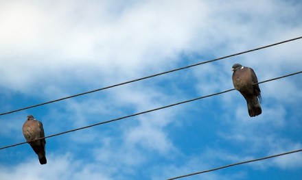 Kokiais atvejais elektros energijos tiekimas gali būti atnaujintas, o kada reikia kreiptis dėl elektros įrenginių prijungimo?