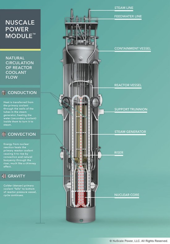 „NuScale“ reaktoriaus viduje © „NuScale“ (CC BY-SA 3.0) | commons.wikimedia.org