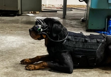 Šuo su papildytos realybės akiniais © U.S. Army