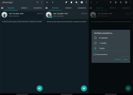 „WhatsApp“ leis nutildyti nepageidaujamus pokalbius. Kaip tai padaryti?
