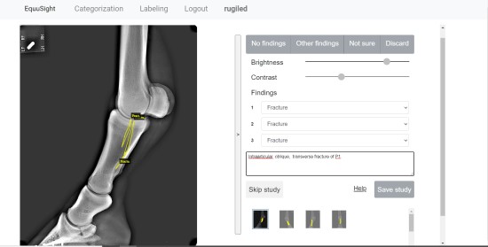 Verinarės įkurtas startuolis vysto dirbtiniu intelektu pagrįstą žirgų radiologinės diagnostikos sistemą