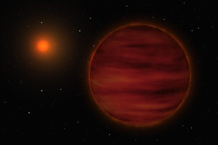 Pirmą kartą rudoji nykštukė aptikta vien iš radijo spinduliuotės © ESO