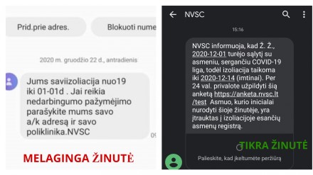 NVSC nuotr.