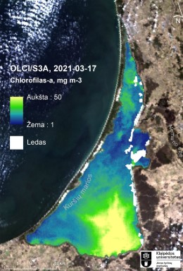 Vandens paviršiaus temperatūros žemėlapis. KU nuotr.