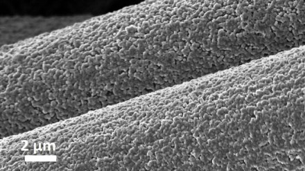 Mikroskopu darytoje nuotraukoje matote aliuminio daleles ant anglies pluošto© Cornell University