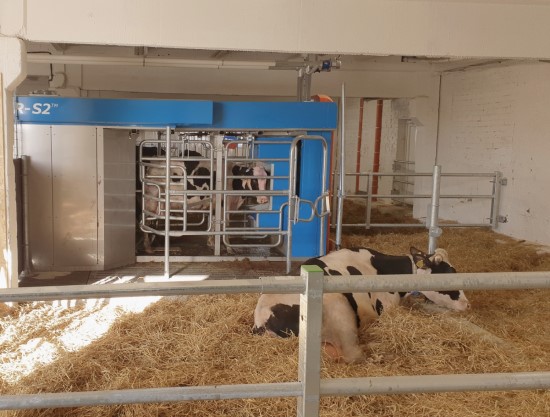Žemės ūkio bendrovė investuoja į melžimo robotus ir vandens lovas karvėms