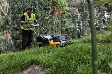 Tinkamos vejapjovės pasirinkimas: tereikia atsakyti vos į 6 klausimus