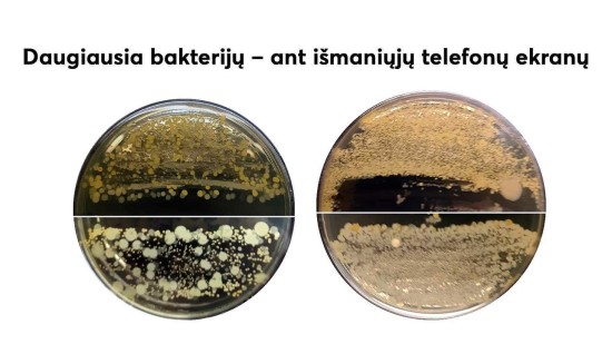 Bakterijos ant telefono / Pranešimo autorių nuotr.