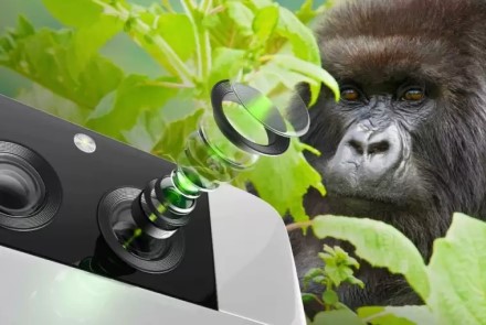 Telefonai tuoj fotografuos geriau: padėkokite gorilos stiklui Telefonai tuoj fotografuos geriau: padėkokite gorilos stiklui