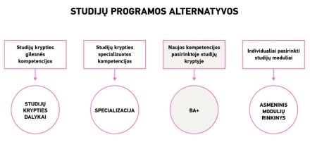 Studijų programos alternatyvos