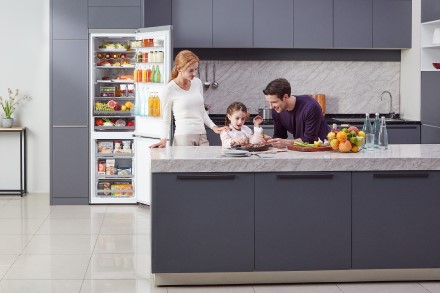 Ekspertai paaiškina, į ką atkreipti dėmesį renkantis naują šaldytuvą