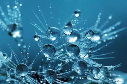 Mokslininkai pirmą kartą stebėjo kvantinius procesus tarp vandens molekulių