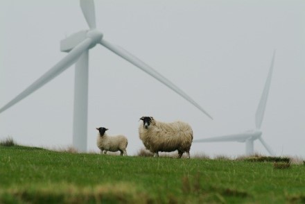 „Siemens“ pagaliau išsprendė didelę vėjo jėgainių problemą