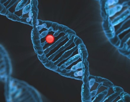 Mokslininkai per kelias minutes sėkmingai įrašė duomenis į DNR