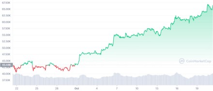 „Coinmarcetcap“ / Bitkoino kilimas per pastarąjį mėnesį