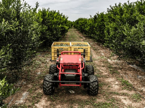 „Agrodronas“ nuotr. / Robotas „XAG R150“ Lietuvos agrarinių ir miškų mokslų centro sodininkų bandymų lauke.